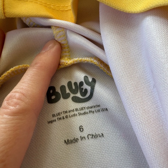 Bluey BINGO Little Girls Mesh Cosplay Dress Toddler to Big Kid | Size 6 - Picture 3 of 4